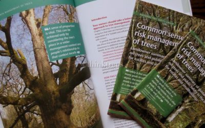 New Guidance on the Management of Tree Risk Published by the NTSG