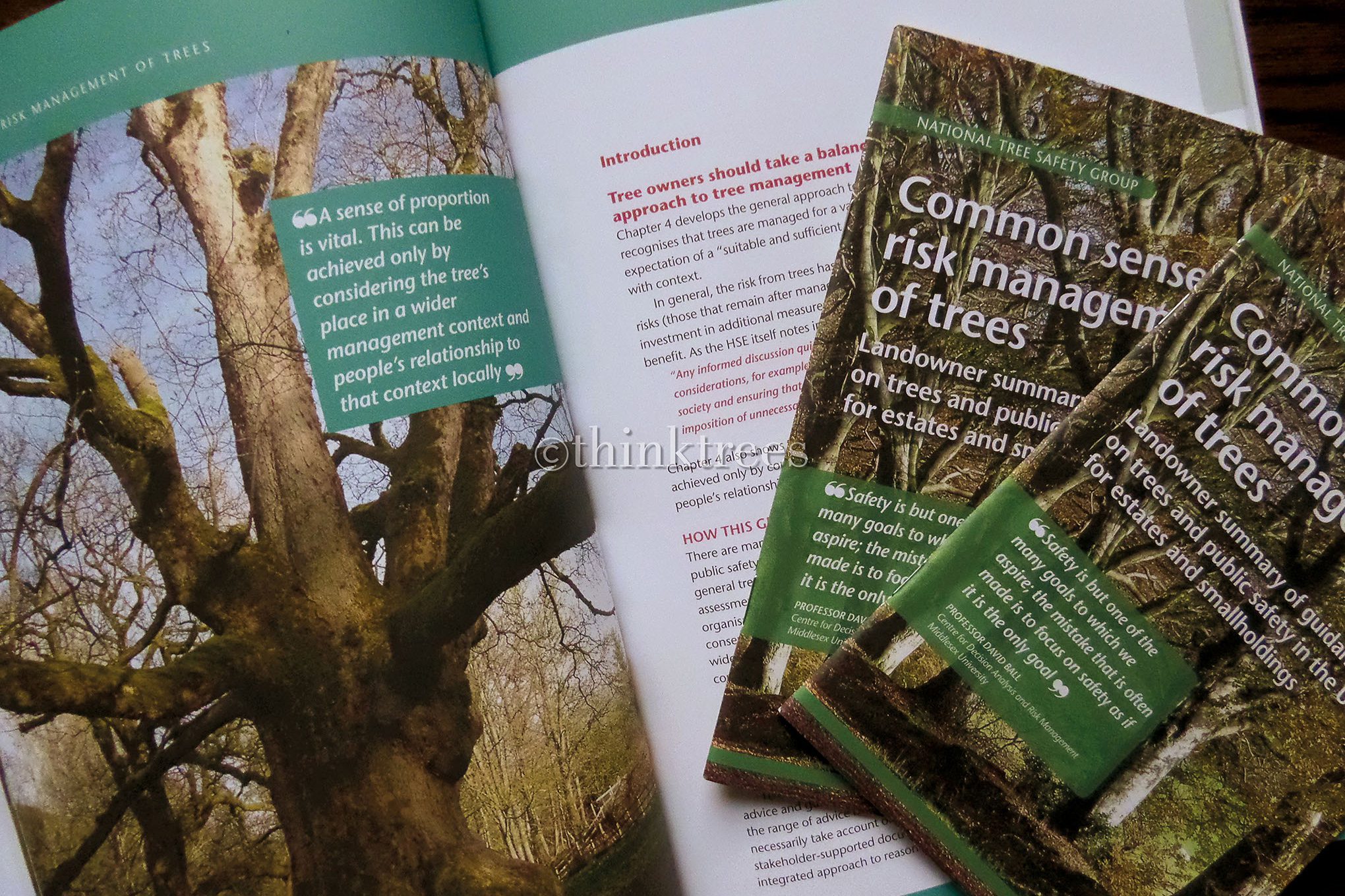New Guidance On The Management Of Tree Risk Published By The NTSG