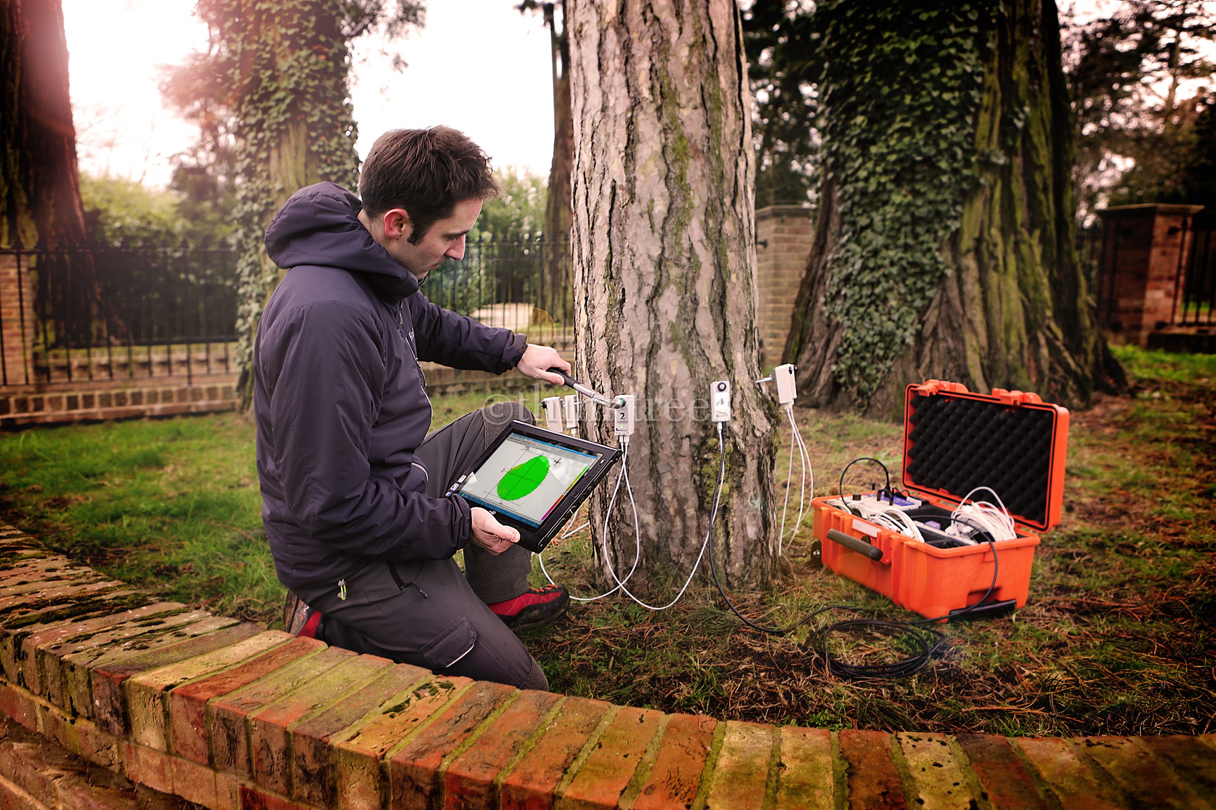 Tree expert testing for decay using an Arbotom impulse tomography unit