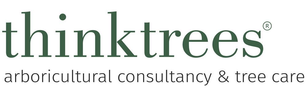 Thinktrees-Ltd-Logo Think Trees logo